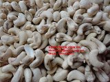Raw Cashew Nuts & Roasted Cashew Nuts | Dried Fruits | W240 Cashew Nuts Suppliers | W320 Cashew Nut Exporters | Buy WW230 Cashew Nut
