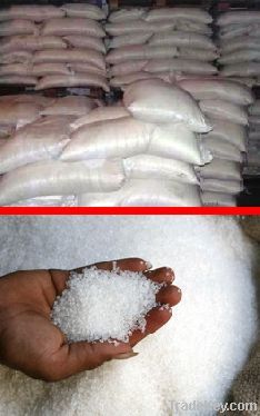 SUGAR from the manufacturer (export)