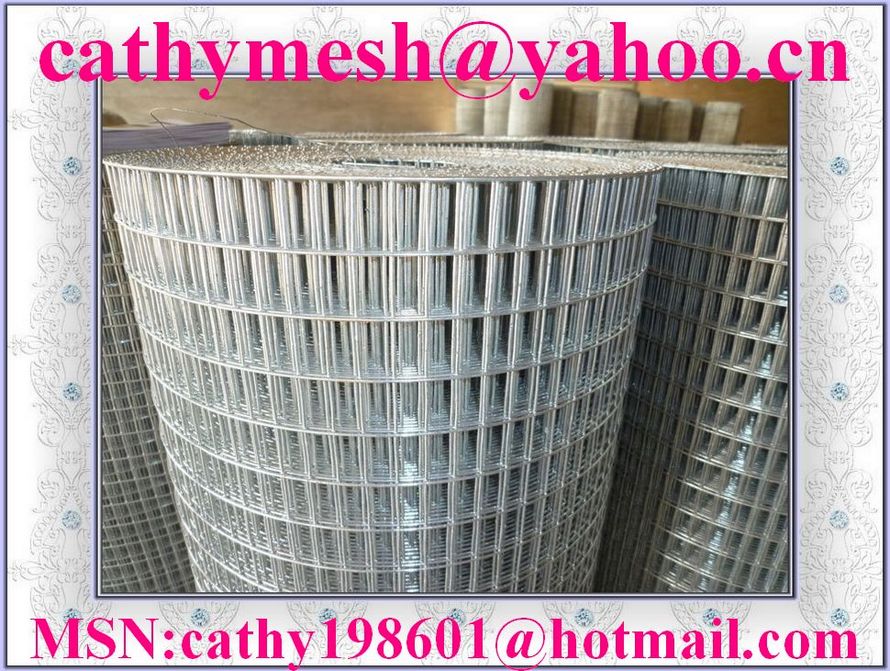 Welded Wire Mesh