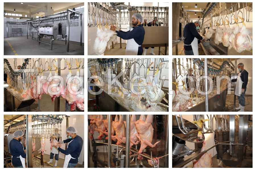 Halal Poultry Slaughterhouse