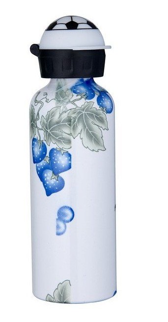 Stainless Steel Water Bottle With BPA Free