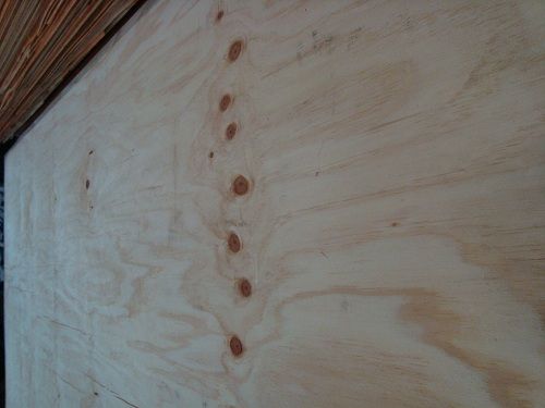 Rotary Peeled Pine Veneer  best quality by prime fortune..