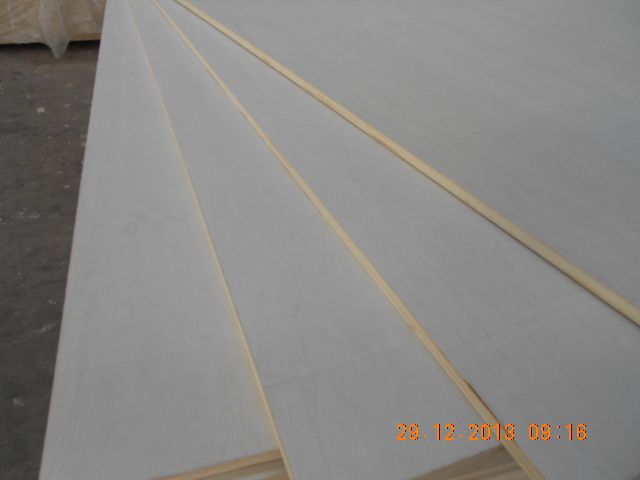 Poplar Plywood best Quality by prime fortune