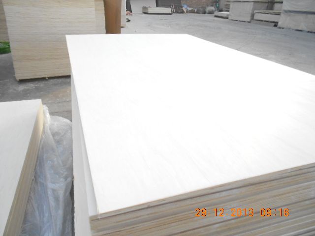 Poplar Plywood best Quality by prime fortune