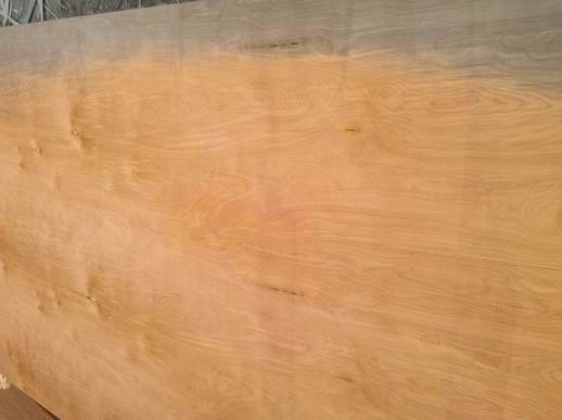 Birch Plywood best quality by prime fortune Plywood