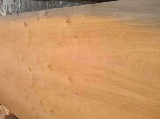 Birch Plywood best quality by prime fortune Plywood