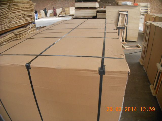 Poplar LVL- Funiture grade/Packaging grade