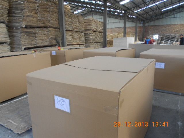 Poplar Plywood best Quality by prime fortune