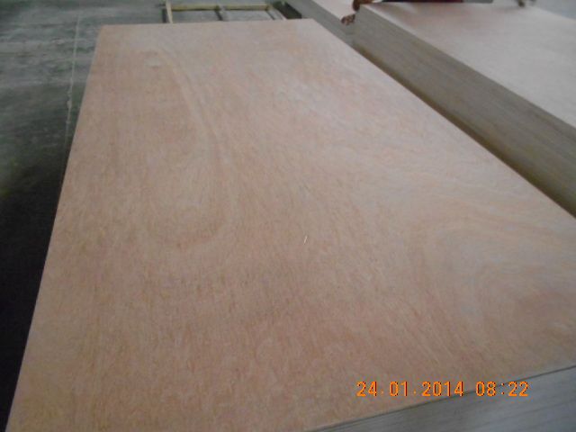 Okume /Bingtangor  Plywood by prime fortune