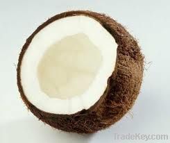 coconut