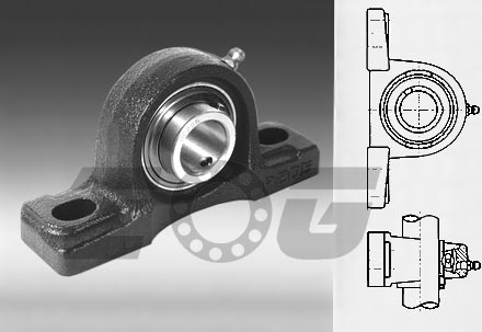 Pillow Block Bearings