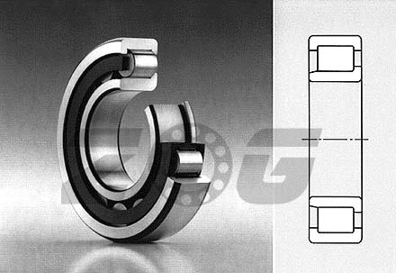 Cylindrical Roller Bearings