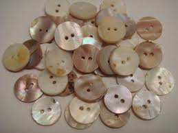 Seashell Buttons