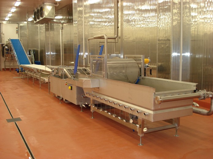 Used Holand NON Quick-freeze Strawberry Production Line on sale