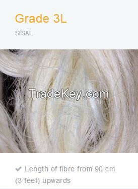 Sisal Fibre Grade 3L