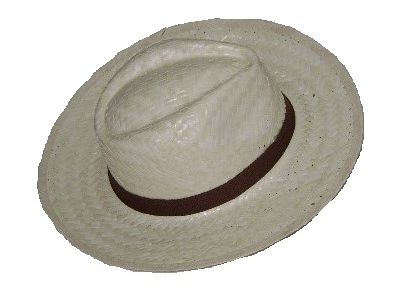 Straw hat, bag, rattan/ wooden product