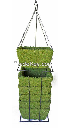 Moss Hanging Basket