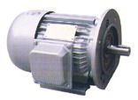 YD Series Multi-speed Three-phase Motor