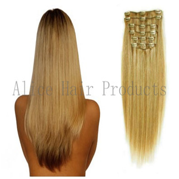 Clip on Remy/Human Hair Extensions