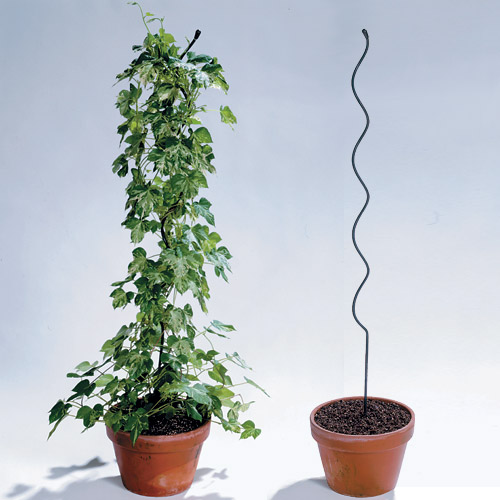 sell Tomato Spirals Plant Support
