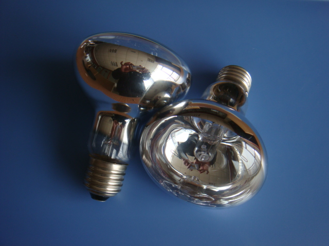 Halogen Energy Saving Lamp R50