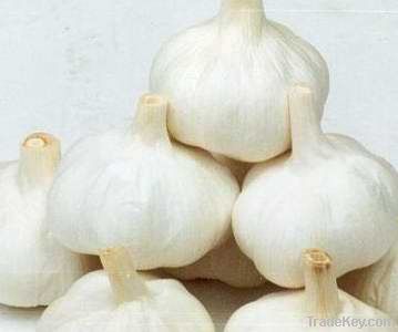 Garlic *****