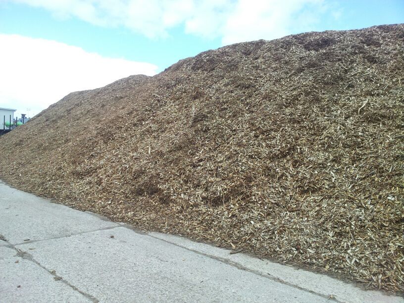 Wood chips