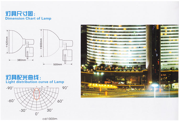 induction  lamp for  Landscape Lighting