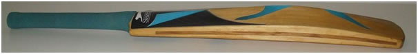 TAS Bat - Innovative cricket bat