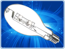 metal halide