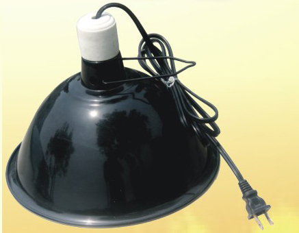 Dome heating and lishgitng fixture