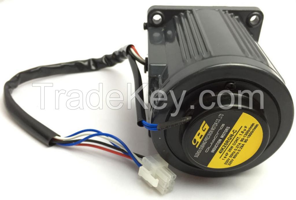 25W induction motor