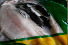 FROZEN BANGUS FOR SALE ( FLAVORED and PLAIN)