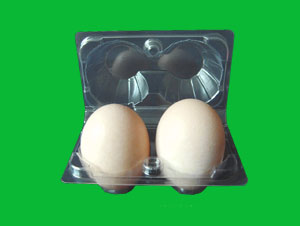 plastic egg tray