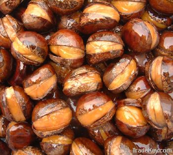 Roasted ringent chestnut