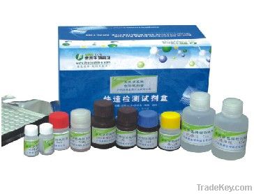 Bovine Tuberculosis Antibody ELISA kit