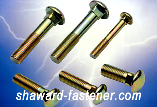 Stainless Carriage Bolt