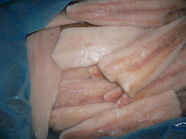 frozen pacific hake fillets