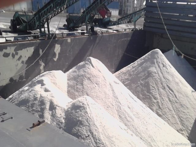 Packed Salt in 25 Kg