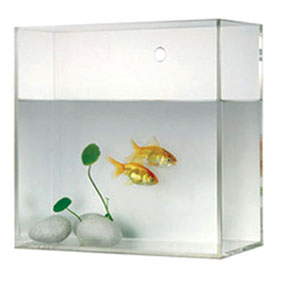 acrylic fish tank, fish tank