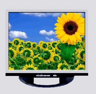 20" LCD TFT monitor