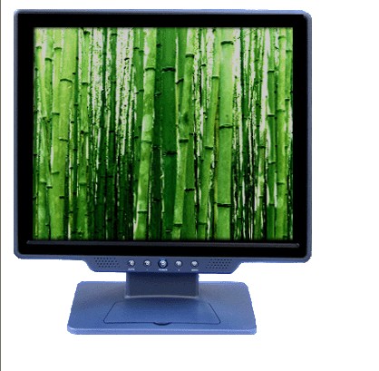 17" LCD monitor