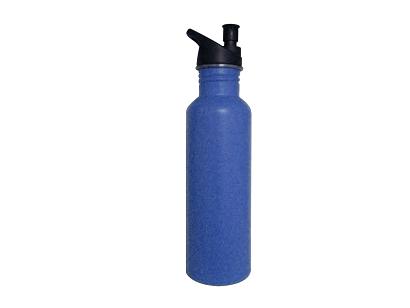 stainless steel water bottle sports bottle BPA free