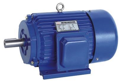 Y Series Three-Phase Asynchronous Induction Motor
