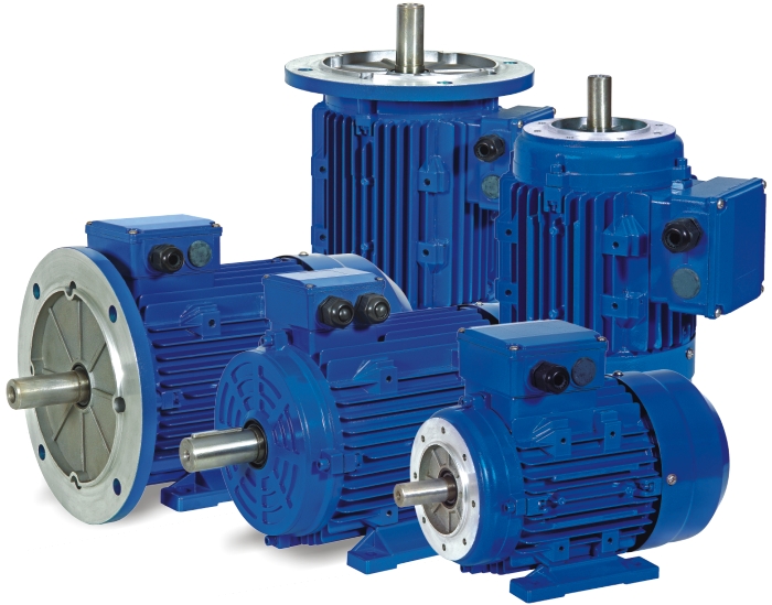 MS Series 3 Phase Electric Motor