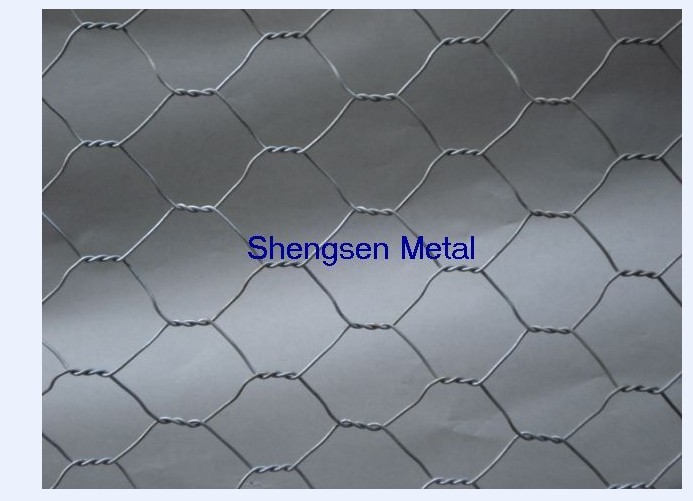 hexagonal wire mesh