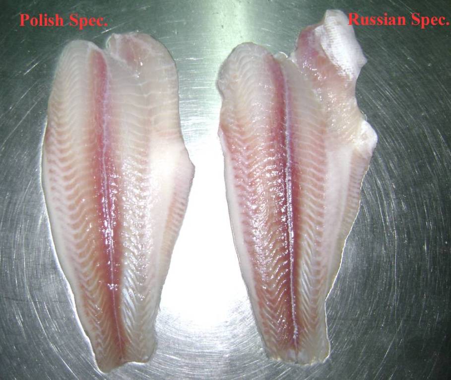 FROZEN FILLET UNTRIMMED