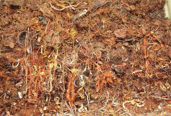 Copper Scraps Suppliers | Copper Scrap Exporters | Copper Scrap Manufacturers | Cheap Copper Scrap | Wholesale Copper Scraps | Discounted Copper Scrap | Bulk Copper Scraps | Copper Scrap Buyer | Import Copper Scrap | Copper Scrap Importers | Copper Scrap 