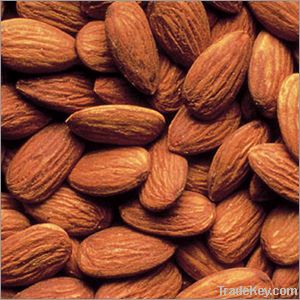 Almond Supplier | Almond Exporter | Almond Manufacturer| Almond Trader | Almond Buyer | Almond Importers | Import Almond
