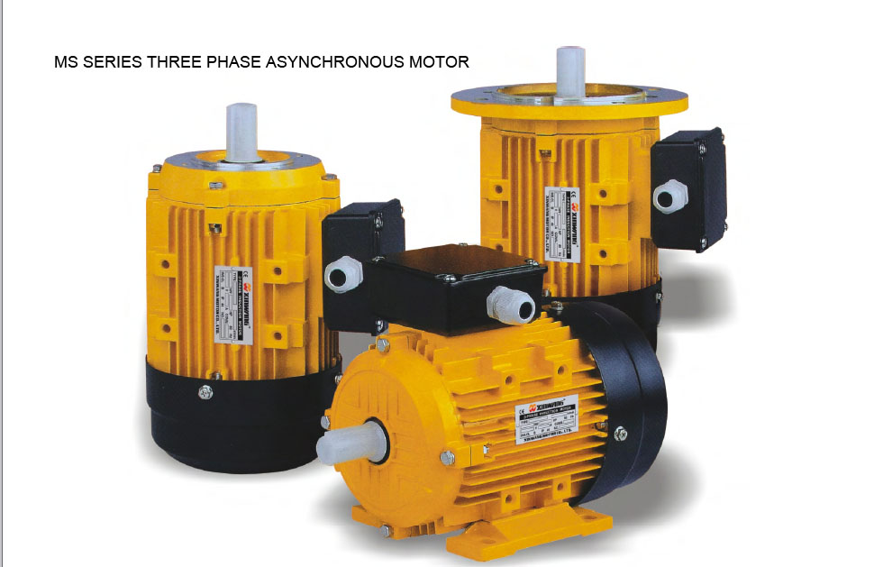 MS Series three-phase aluminum housing motors